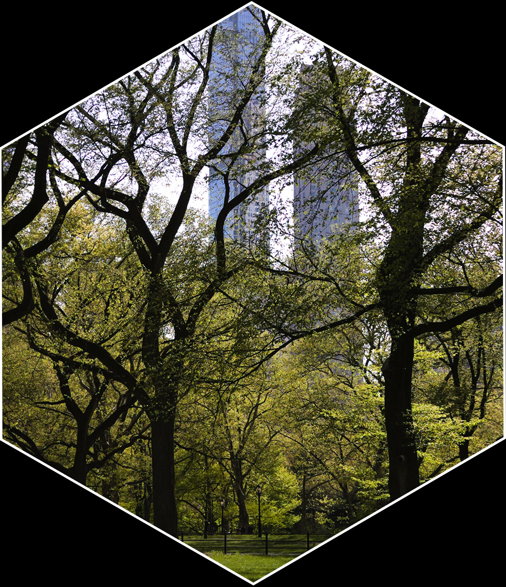 Parks and safe walkways as cure for&nbsp;diabetes