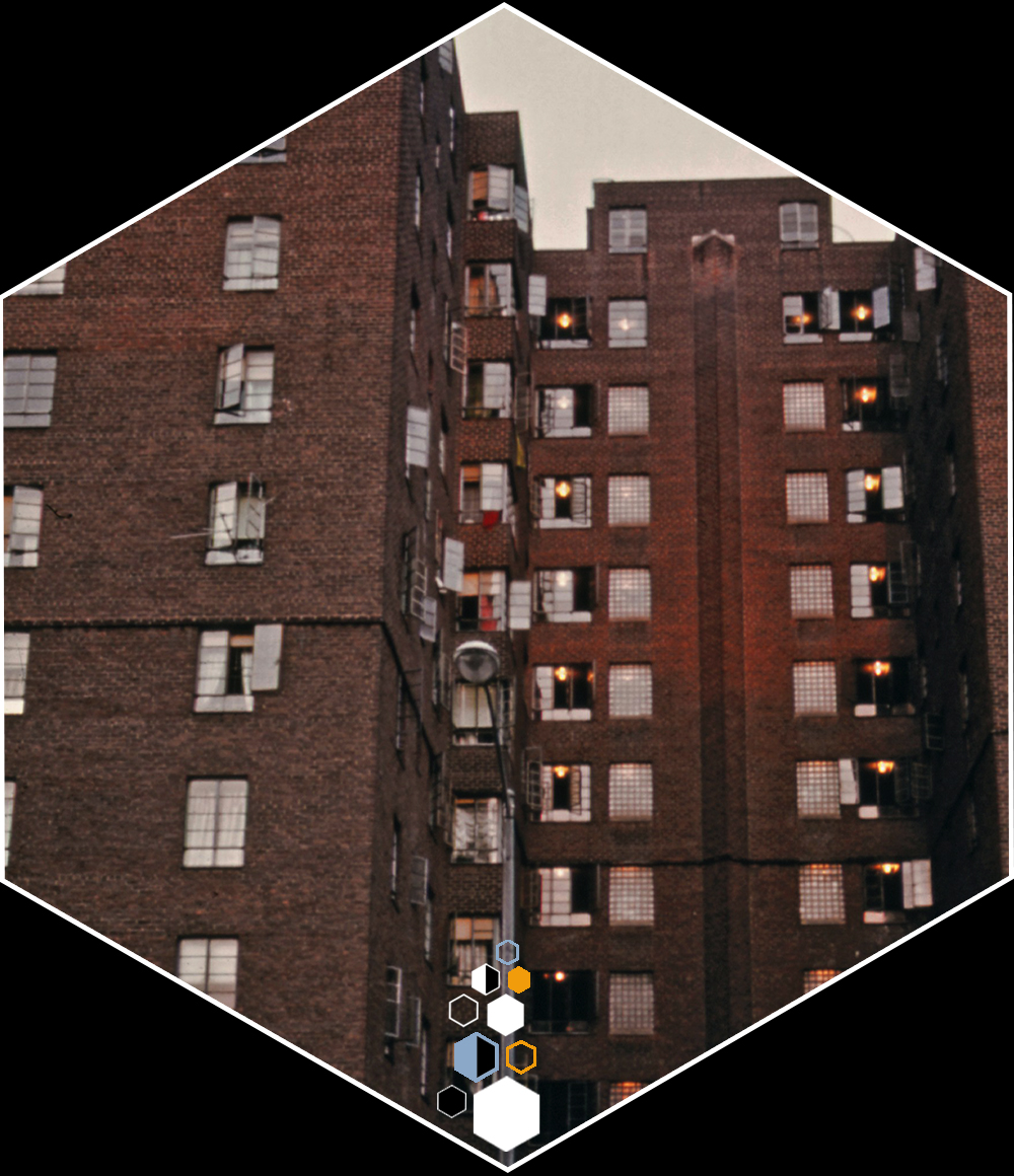 The rise and decline of the American&nbsp;ghetto