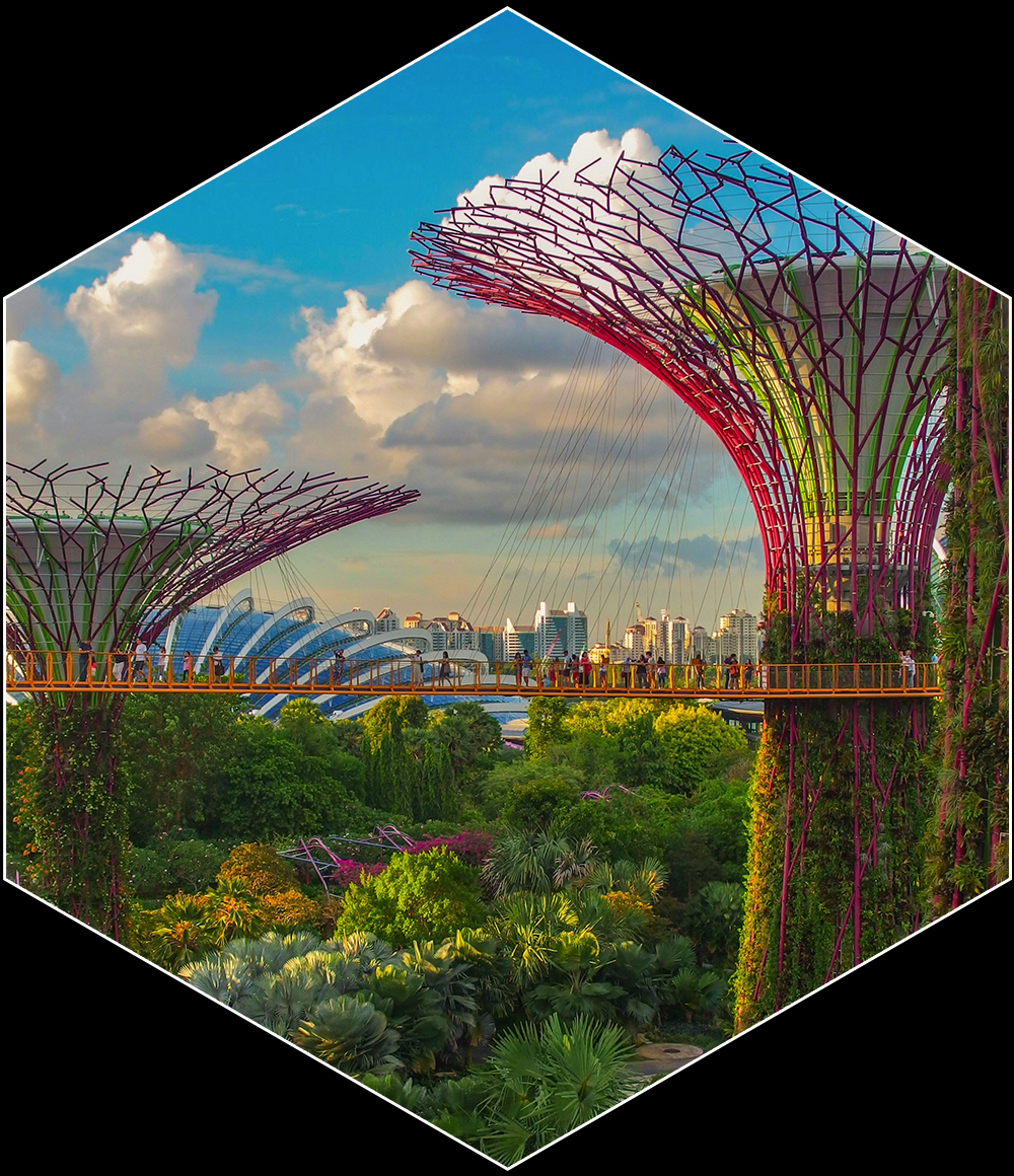 Singapore growth principles — from backwards village to global&nbsp;leader